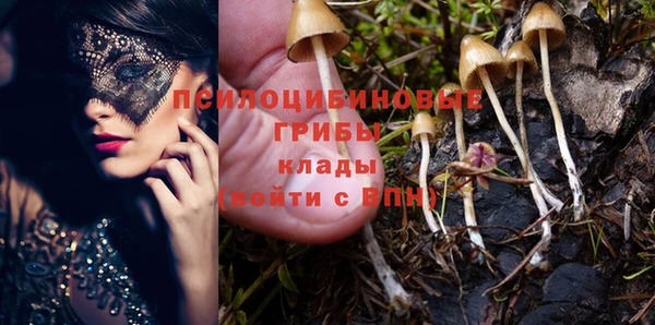 тгк Анива
