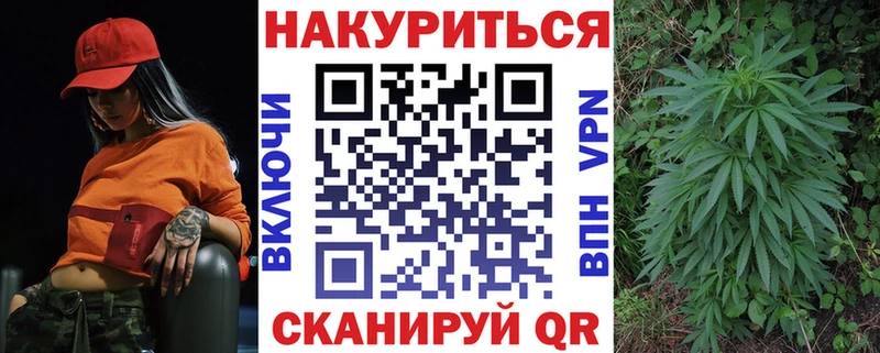 Каннабис семена  дарк нет формула  Шимановск 